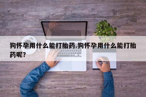 打胎药/堕胎药/流产药私人联系微信狗怀孕用什么能打胎药.狗怀孕用什么能打胎药呢？