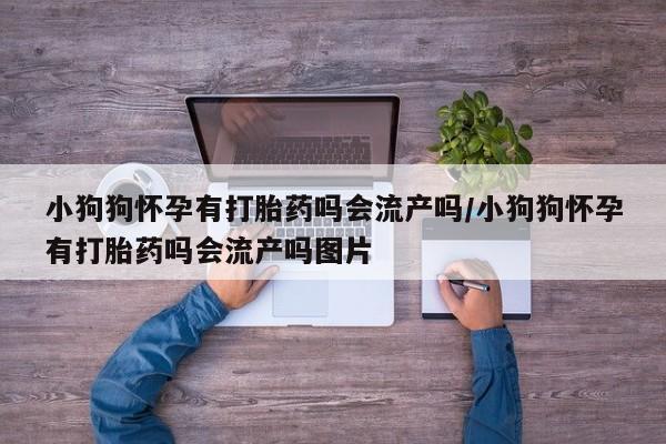 打胎药/堕胎药/流产药私人联系微信小狗狗怀孕有打胎药吗会流产吗/小狗狗怀孕有打胎药吗会流产吗图片