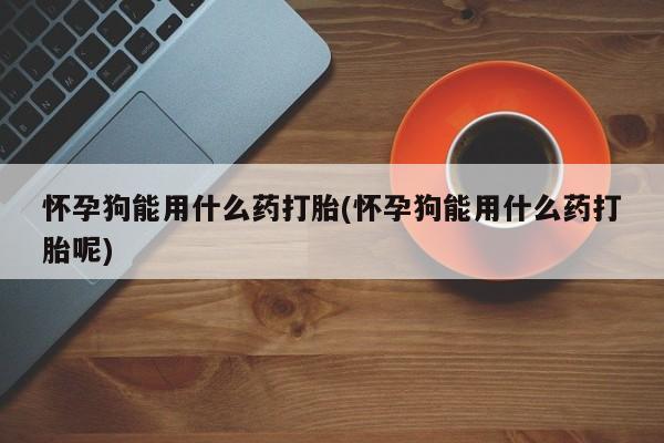 打胎药/堕胎药/流产药私人联系微信怀孕狗能用什么药打胎(怀孕狗能用什么药打胎呢)