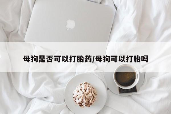 打胎药/堕胎药/流产药私人联系微信母狗是否可以打胎药/母狗可以打胎吗